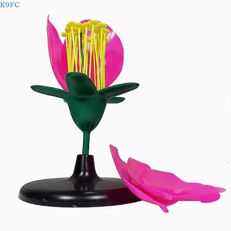 K9FC نموذج تعليمي واقعي للنبات - مراجعة Science Exhibition Models وسعره
