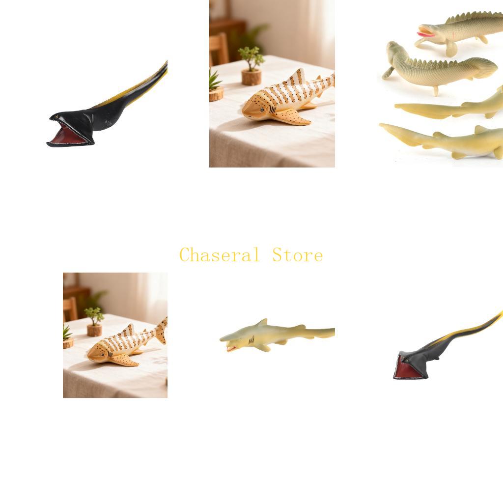 لعبة السمك E7CE حيوان موراي ال - مراجعة Science Exhibition Models وسعره