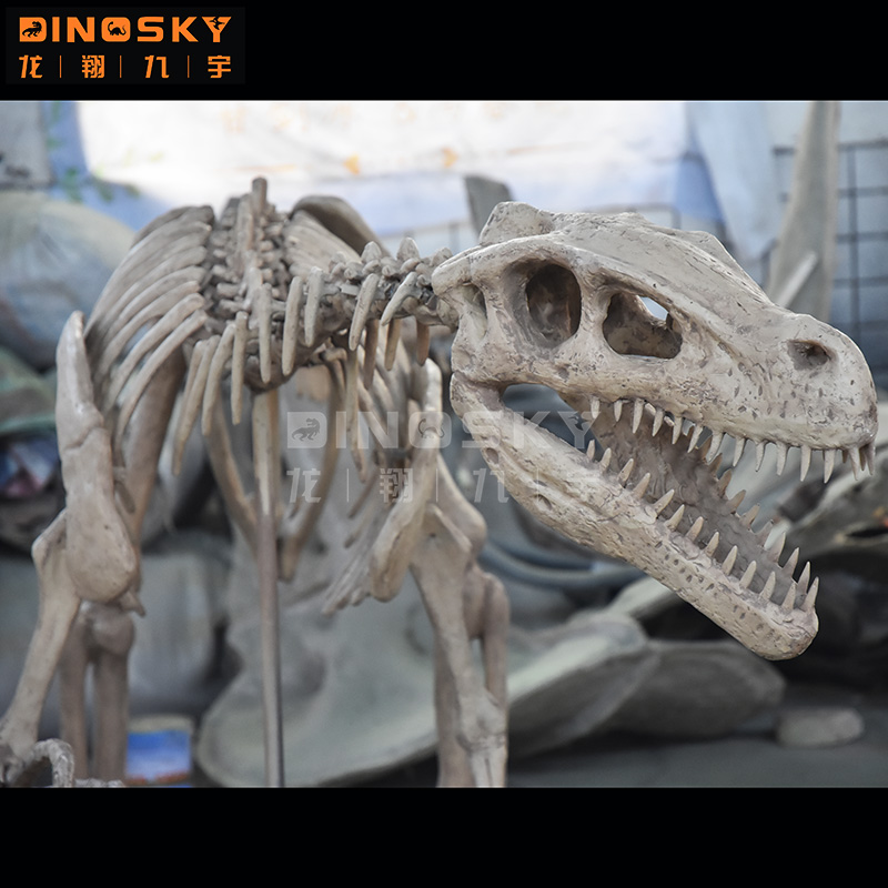 نموذج هيكل عظمي ديناصور رابتور - مراجعة Science Exhibition Models وسعره